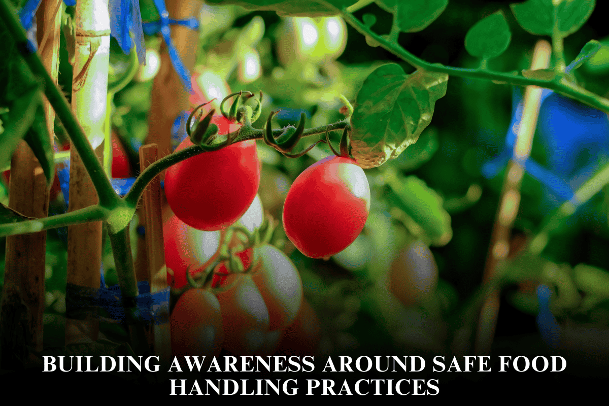 Building Awareness Around Safe Food Handling Practices